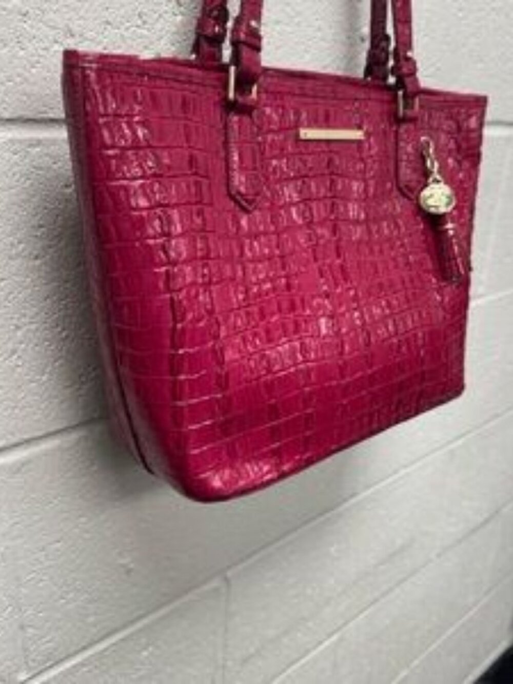 Authentic Pink Brahmin Asher Medium Tote - WOW! - Picture 3 of 5